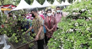 Promosikan tanaman hias, Pemko Medan akan gelar pameran