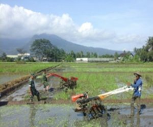 Kodam IV/Diponegoro Sulap Lahan Tidur Jadi Lahan Produktif