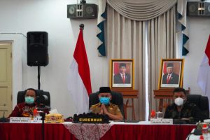 Gubernur Kalteng ikuti Rakornas Pengendalian Inflasi 2022 secara virtual