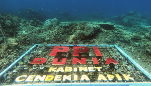 Selamatkan ekosistem laut, PPI Dunia tanam terumbu karang
