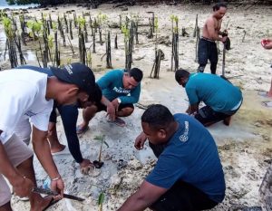 Lestarikan lingkungan, Ecodefender Manokwari tanam mangrove di Pulau Lemon
