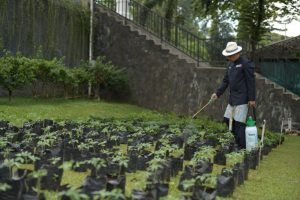 HUT Jabar ke-77, BI salurkan puluhan ribu bibit cabai dan bawang merah
