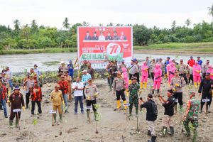 Lestarikan lingkungan, Forkopimda Aceh Timur tanam pohon mangrove