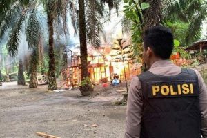 Lapak isap sabu dan judi terbesar di Sumut dibakar polisi, tak ada yang ditangkap