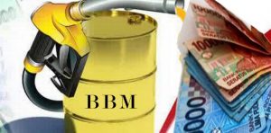 Tolak kenaikan BBM dan TDL HMI akan gelar aksi demo besok