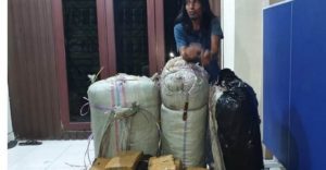 Polda Sumut gagalkan pengiriman 200 kg ganja siap edar dari Aceh tujuan Medan dan Pekanbaru