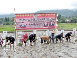 Pj.Bupati Landak Lakukan Tanam Padi Perdana Serentak Di Desa Pakumbang