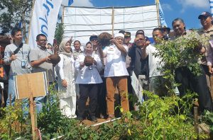 Porang Sebagai Terobosan Inovatif untuk Ketahanan Pangan dan Pertumbuhan Ekonomi