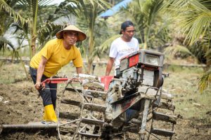 Tingkatkan Kesejahteraan Ekonomi Petani, KADIN Gagas “Pusat Pembelajaran Budidaya Jagung” Di Tamarenja
