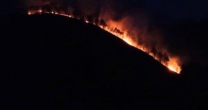 Hutan perbukitan Silahisabungan kawasan Danau Toba Dairi terbakar