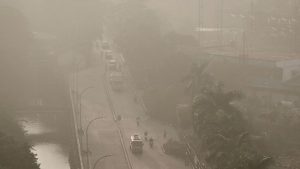 Kebijakan WFH Untuk Atasi Polusi Tidak Akan Efektif, Kecuali Jokowi Lakukan Hal ini. Simak