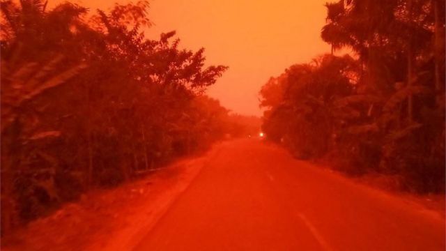 Jambi Diselimuti Kabut Asap, Warga Diminta Kurangi Aktifitas di Luar