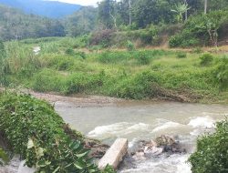 Sungai Muara Sada Simangambat Meluap, Jaringan Irigasi Rusak Warga Mengeluh