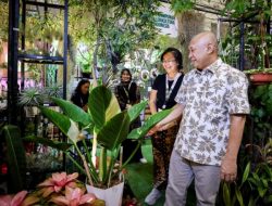 MenKopUKM Dorong Terbentuknya Ekosistem Industri Tanaman Hias