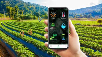 Inovasi Menuju Pertanian Unggul