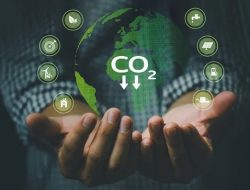 Jual Beli Karbon, Upaya Pemerintah Kurangi Emisi