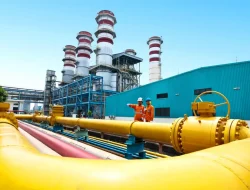 Progres Program Gasifikasi Pembangkit Listrik
