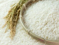 Kondisi Ekonomi Fluktuatif, Harga Beras Bisa Tembus Rp30.000 per Kg
