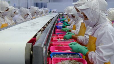 Berkah Ramadan, Persediaan Produk Industri Pengolahan Terserap Optimal