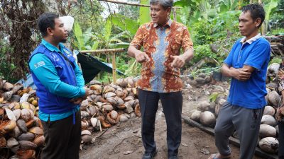 Lombok Jadi Center of Excellence Hilirisasi Kelapa