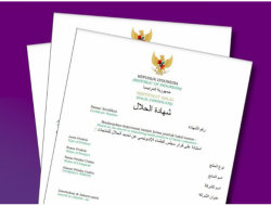 Penting bagi Pelaku Usaha UMKM, Cara Gampang Mengurus Sertifikasi Halal Self Declare