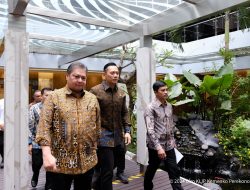 Dewan Nasional KEK Terima Usulan Pembentukan 3  KEK Baru