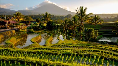 Sistem Subak, Warisan Budaya Dunia dan Daya Tarik Wisata