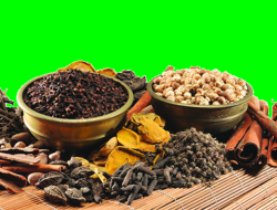 Mendorong Kemandirian Industri Herbal