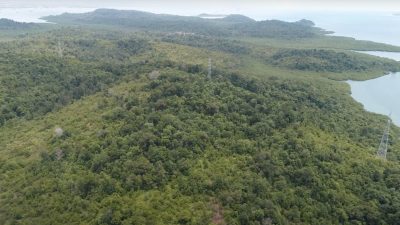 Optimalkan Peluang Ekonomi di Provinsi Kepulauan Riau, Pemerintah Resmi Tetapkan KEK Tanjung Sauh  
