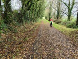 Silih dan Kaul di Camino de Santiago