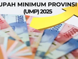 Pekerja Informal Terabaikan: Kenaikan UMP 2025 Harus Disertai Kebijakan Inklusif
