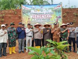 Penanaman Jagung Serentak 1 Juta Hektar Digelar di Cidadap Kec. Cingambul, Kabupaten Majalengka, Jawa Barat
