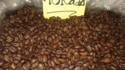 Banyak yang belum tahu, ini 5 perbedaan kopi arabika dan robusta