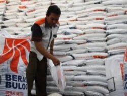 DPR cecar Bulog soal beras impor berkutu, duit negara Rp 3,6 T sia-sia