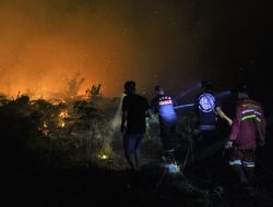 Karhutla di Singkawang Meluas, Seluruh Kekuatan Damkar Dikerahkan 