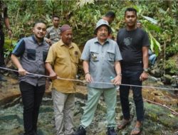 Batu giok raksasa seberat 5 ribu ton ditemukan di hutan Aceh