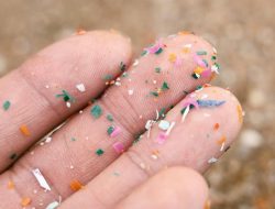 Waspada bahaya mikroplastik ada di mana-mana tapi Anda bisa menghindarinya