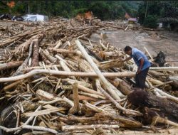 Kementerian LH jatuhkan sanksi larangan beroperasi 8 perusahaan terduga pemicu banjir