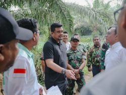 Gubsu Bobby Nasution Ubah Lahan Sawit Jadi Hunian Tetap Korban Bencana