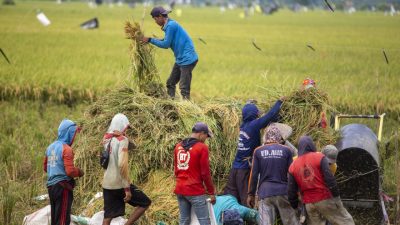 Anggota Komisi IV DPR RI Firman Soebagyo Usulkan Konsep Baru Wujudkan Swasembada Pangan Nasional