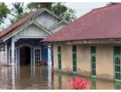 Hujan Deras Guyur Bengkulu Sejak Kamis, Ratusan Rumah Warga Terendam Banjir