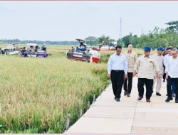 Minta Restu Presiden, Menteri Amran Berwacana Indonesia Akan Ekspor Beras Tahun Ini