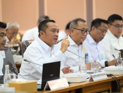 Pencabutan Izin 28 Perusahaan Implementasi dari Prabowonomics