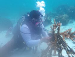 Transplantasi Terumbu Karang di Pulau Pramuka