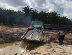 Marak, Aktivitas Tambang Emas Ilegal di Jambi Timbulkan Kerusakan Lingkungan