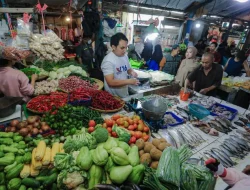 Jelang Ramadhan, Ketersediaan dan Stabilitas Harga Pangan DIY Terjamin