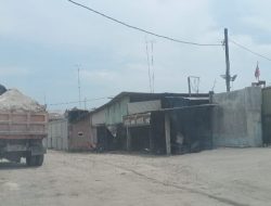 Reklamasi di Gabion terus berlanjut, DLH perlu ambil tindakan