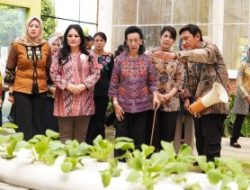 Jogja Agro Park Dikembangkan Jadi Kawasan Pembenihan dan Eduwisata