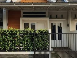 Inilah 7 pohon buah yang cocok jadi pagar hidup