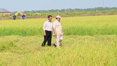 Siap Hadapi El Nino, Mentan: Stok Beras Aman, Capai Level Tertinggi Sepanjang Sejarah